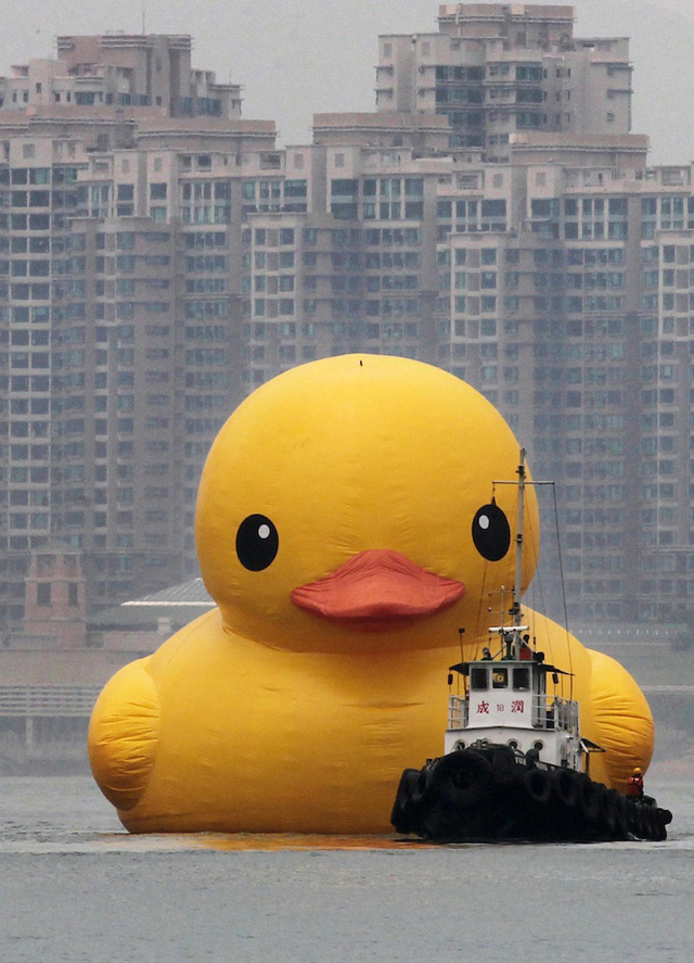  Giant Rubber Ducky For Sale Giant Rubber Ducky Wallpaper