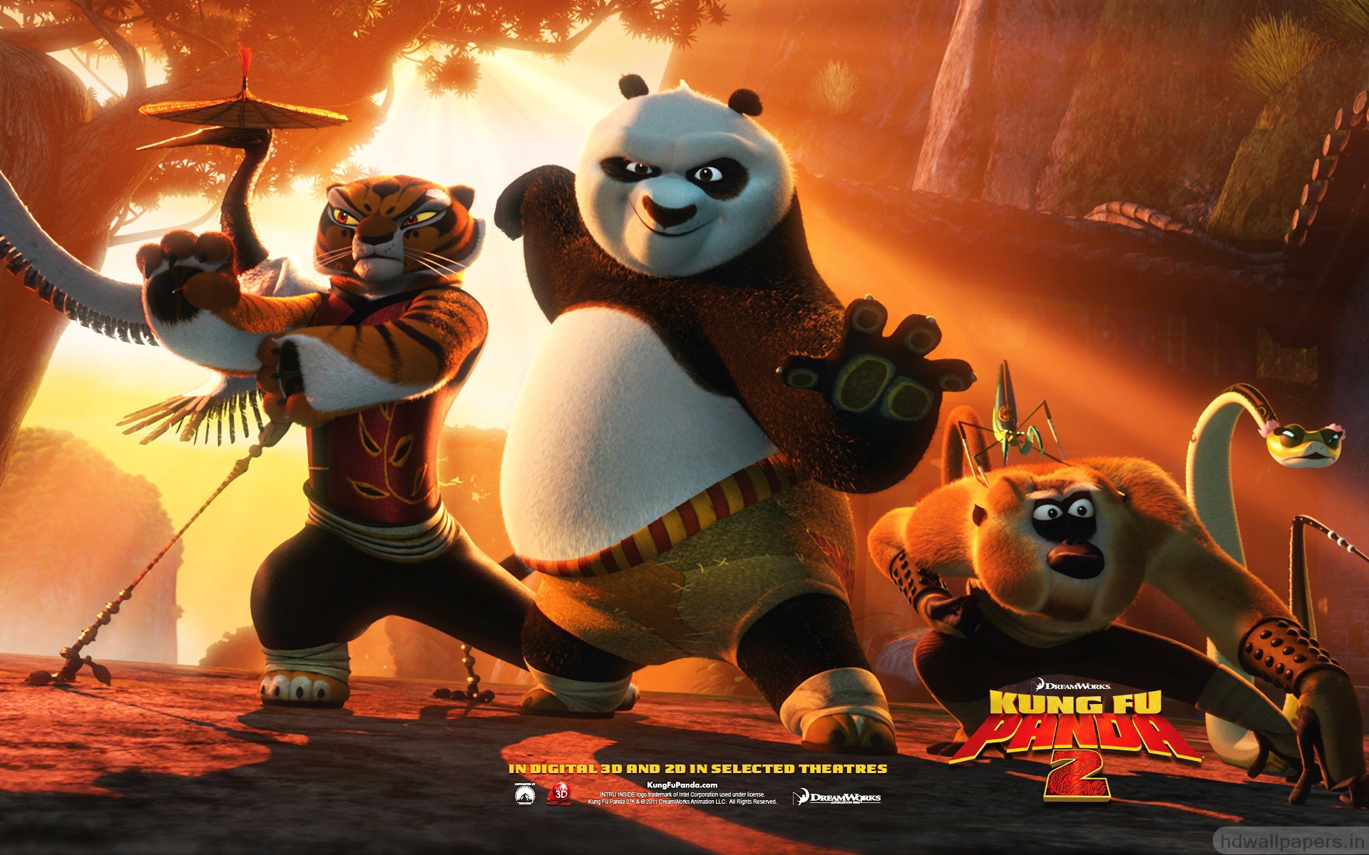 Kung Fu Panda Wide Wallpaper HD