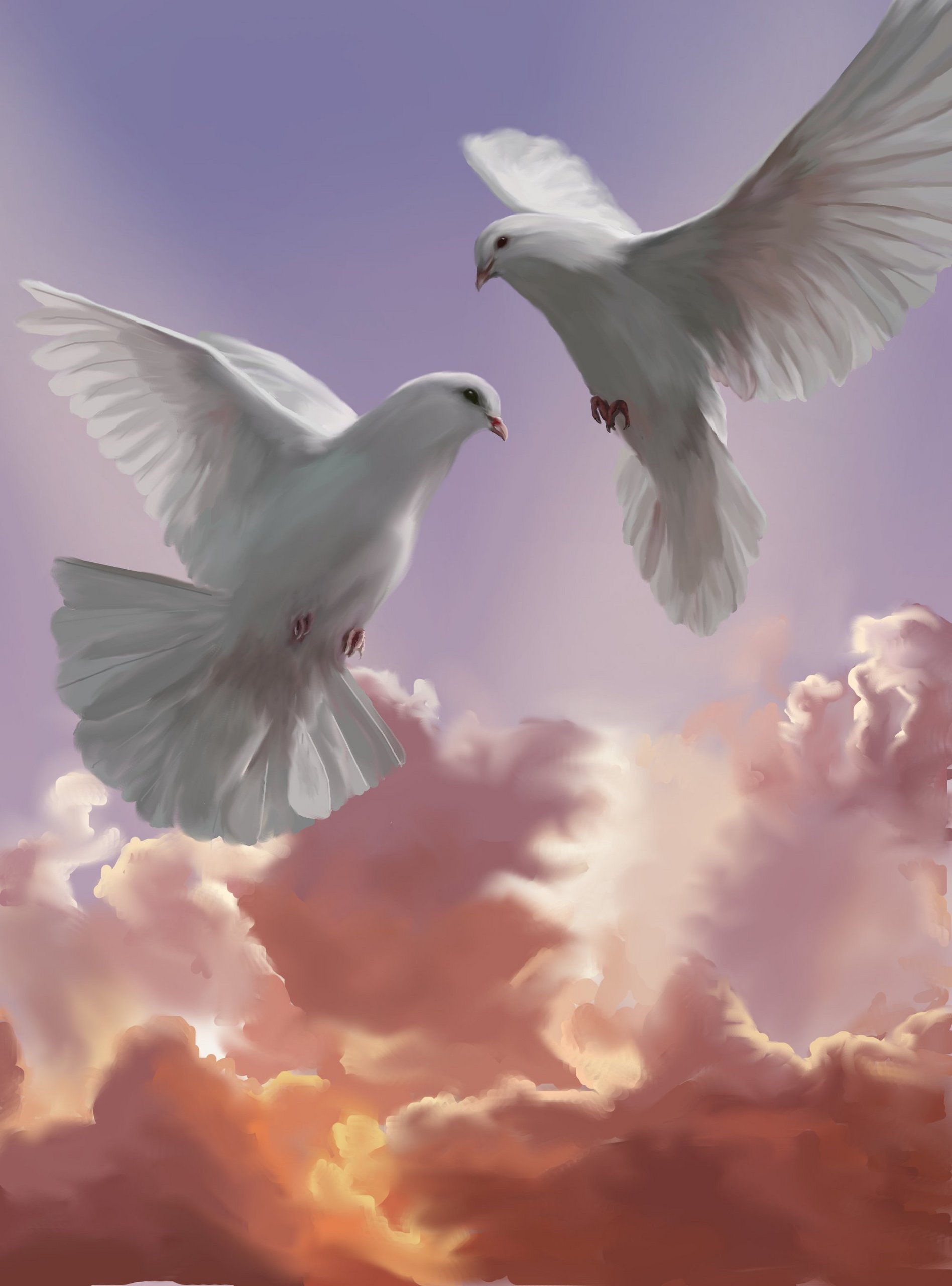 Doves Fan Art