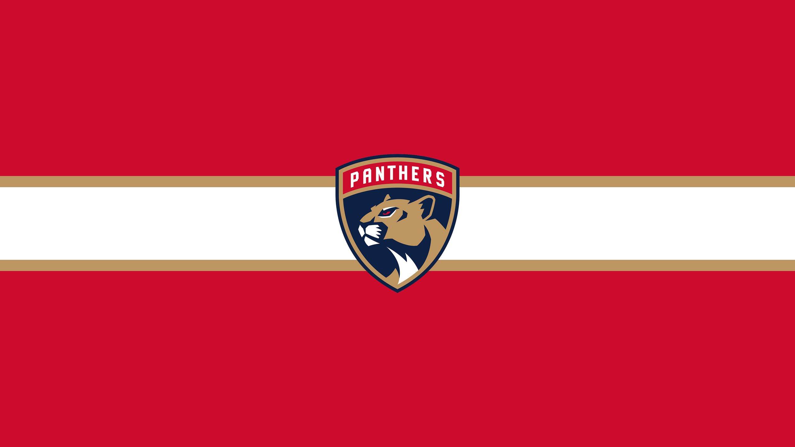 VK197 Florida Panthers Wallpapers 2560x1440 px   4USkY