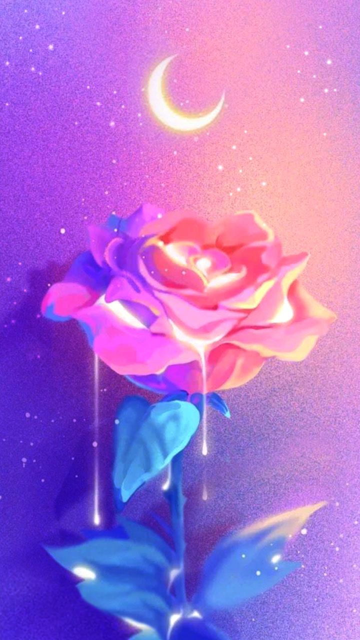 Hoa hồng nửa đêm: Hãy cùng chiêm ngưỡng những đóa hoa hồng nửa đêm với sắc đỏ đậm quyến rũ. Được trồng và chăm sóc đặc biệt để cho ra nụ hoa tuyệt đẹp, hoa hồng nửa đêm sẽ mang lại cho bạn cảm giác lãng mạn và thư giãn khi đêm xuống.