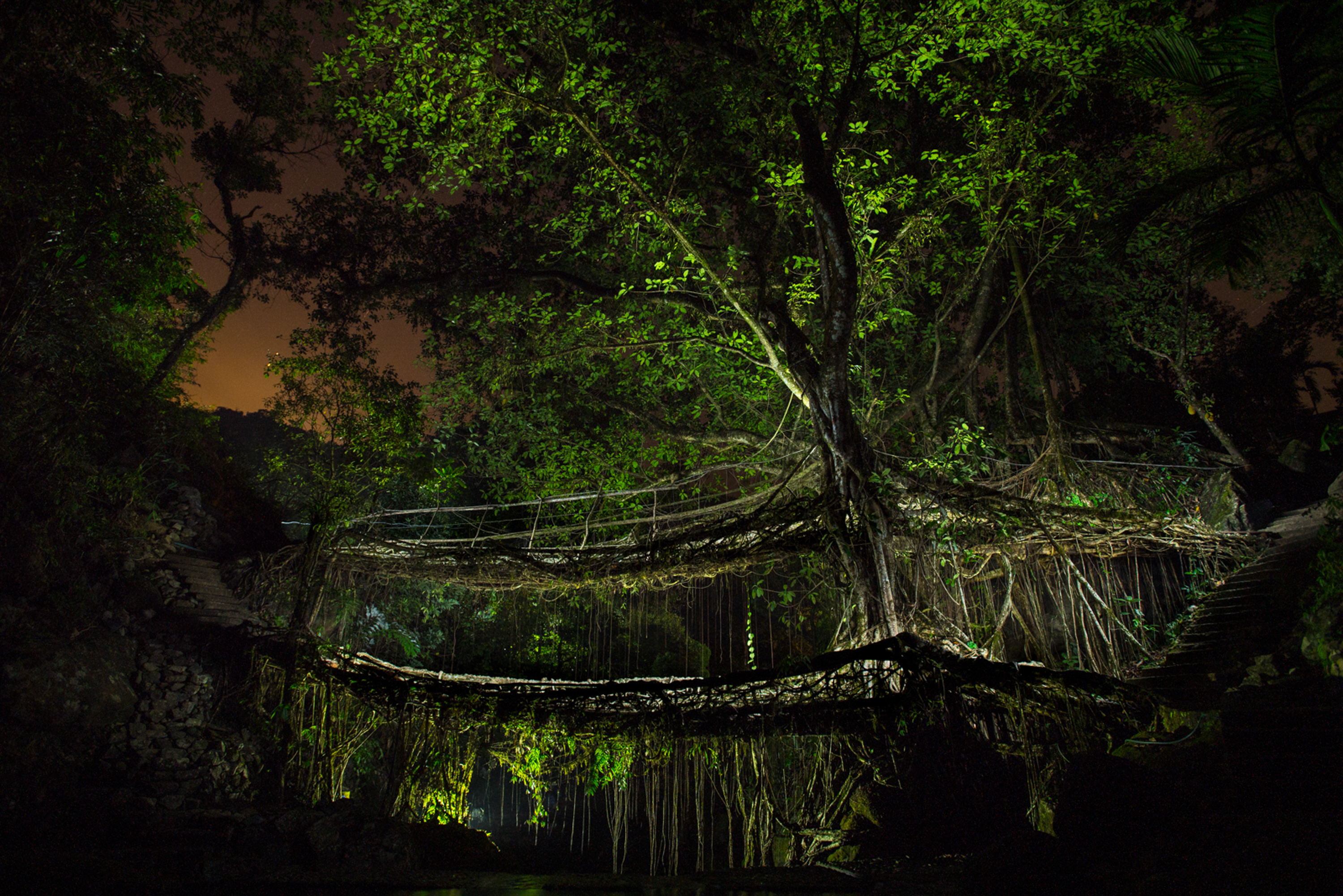 Photos India S Ancient Root Bridges Hold Lessons For The Modern