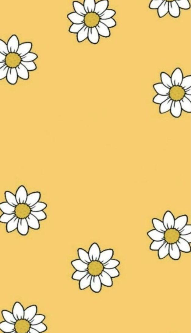 Aesthetic Wallpaper Yellow Sunflower