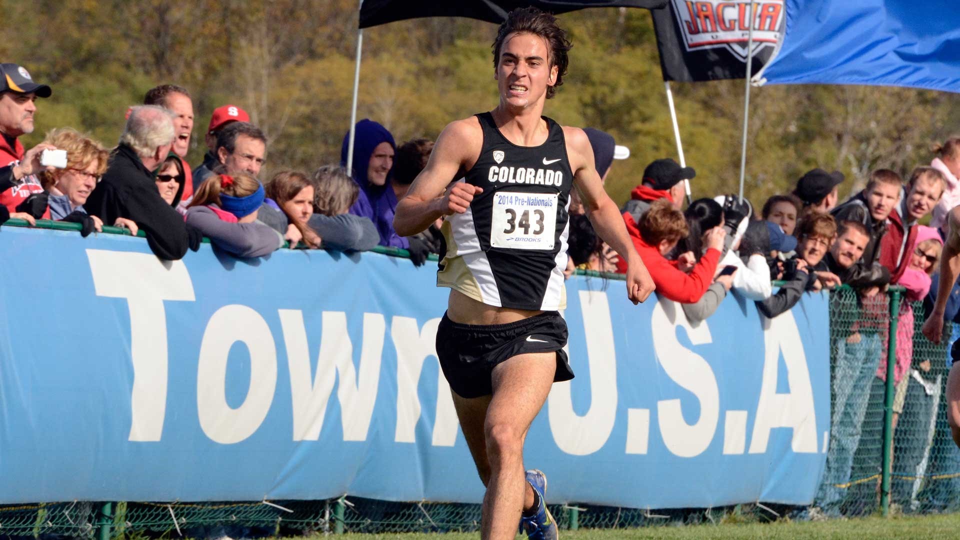Saarel Named Academic All American University Of Colorado Athletics