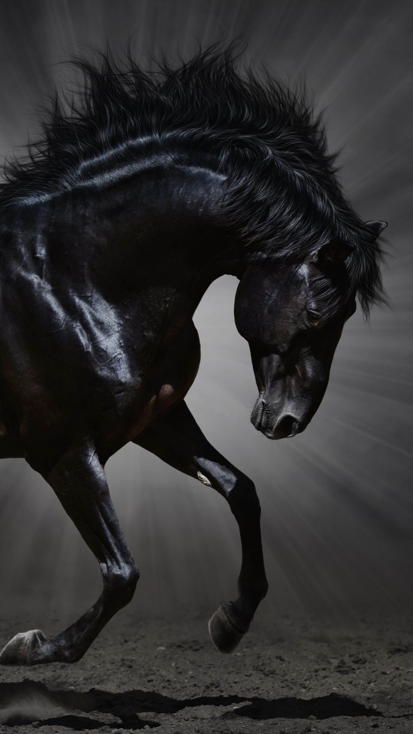 Dark Horse HD Wallpaper For Galaxy S6 HDwallpaper