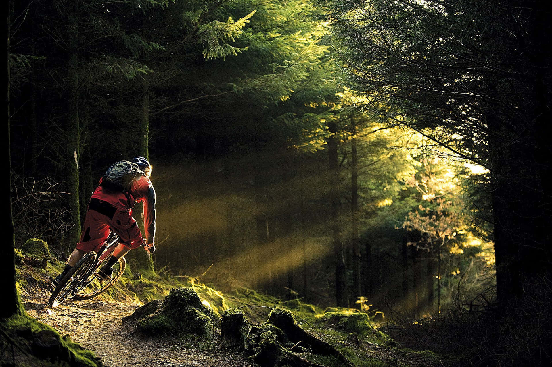 Mountain Bike Wallpaper