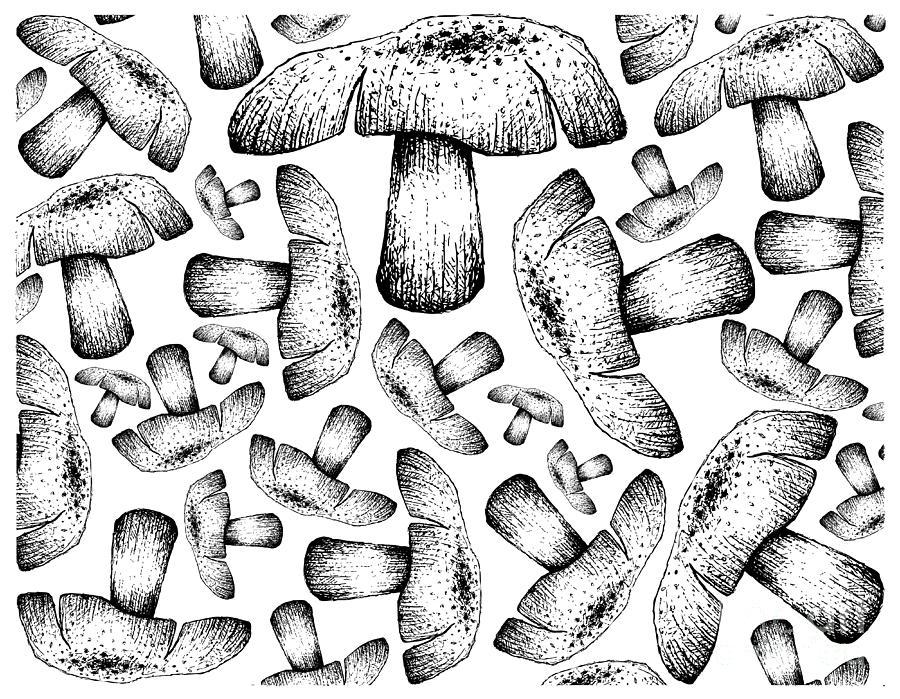 Hand Drawn Wallpaper Background Of Autumn Mushrooms Drawing By Iam