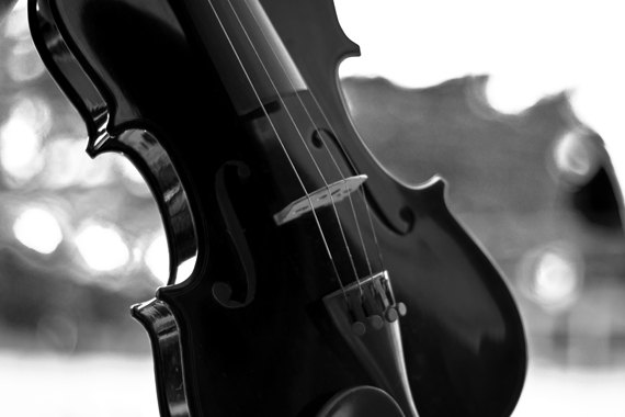 Black Violin Fine Art Photography Musical Instrument Print