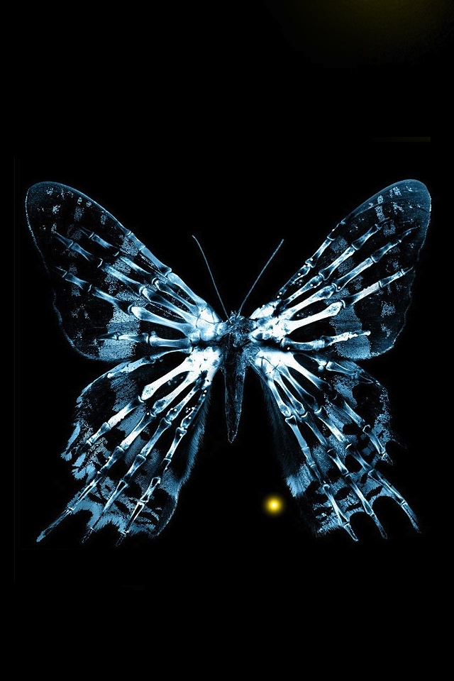 Fringe Butterfly iPhone HD Wallpaper