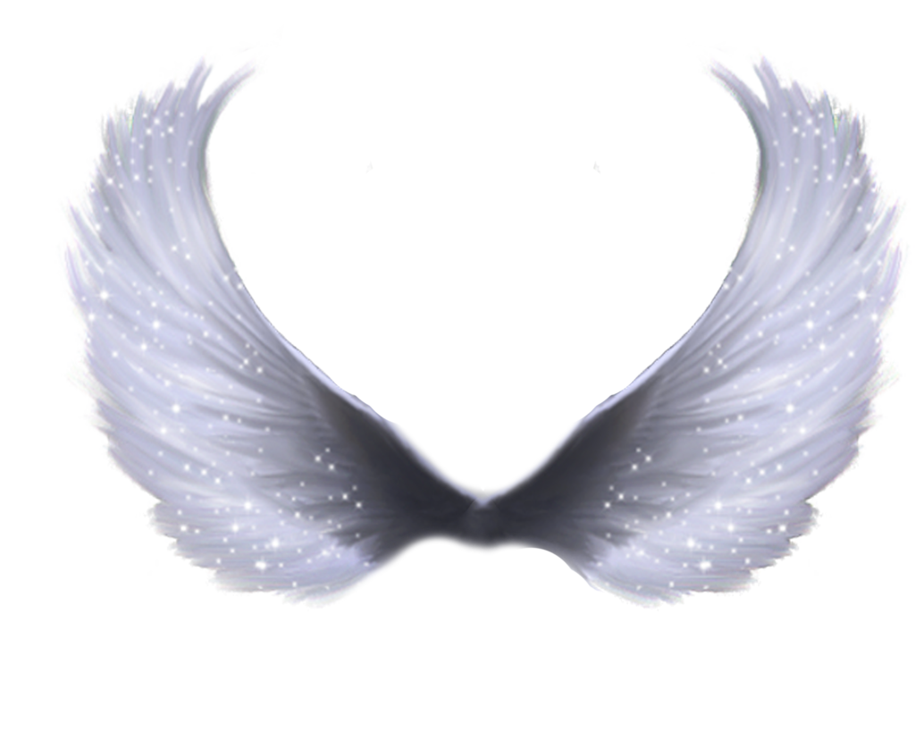 Angel Wings Png Wing By Moonglowlilly