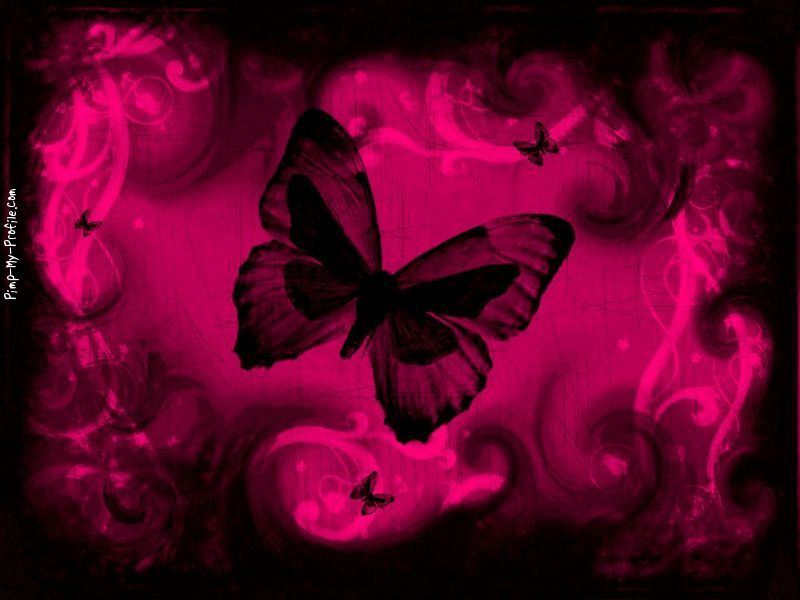 Hot Pink Butterfly Background Pimp My Profile