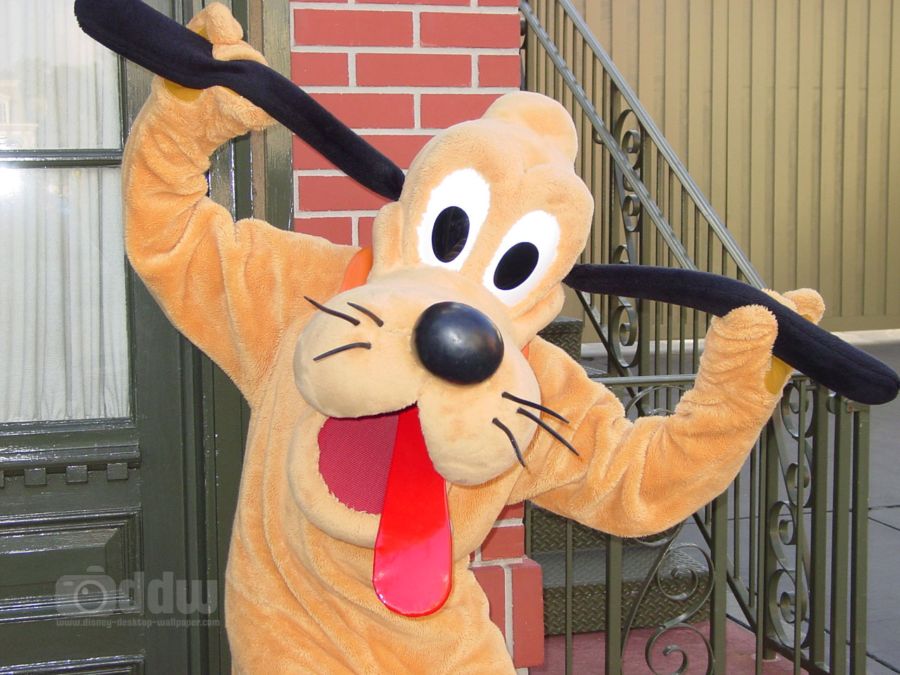 Cartoon Disney Dog Pluto Pictures And Wallpaper Short News Poster