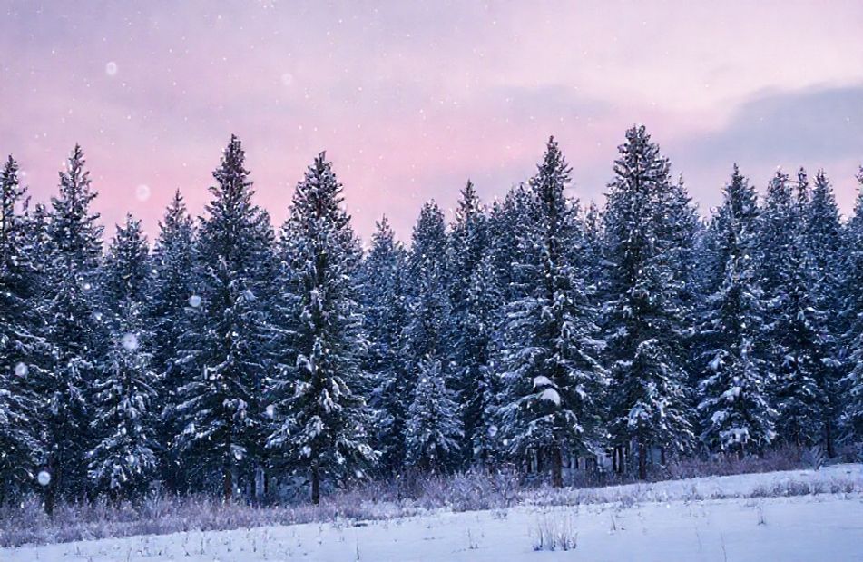 Winter Background Wallpaper