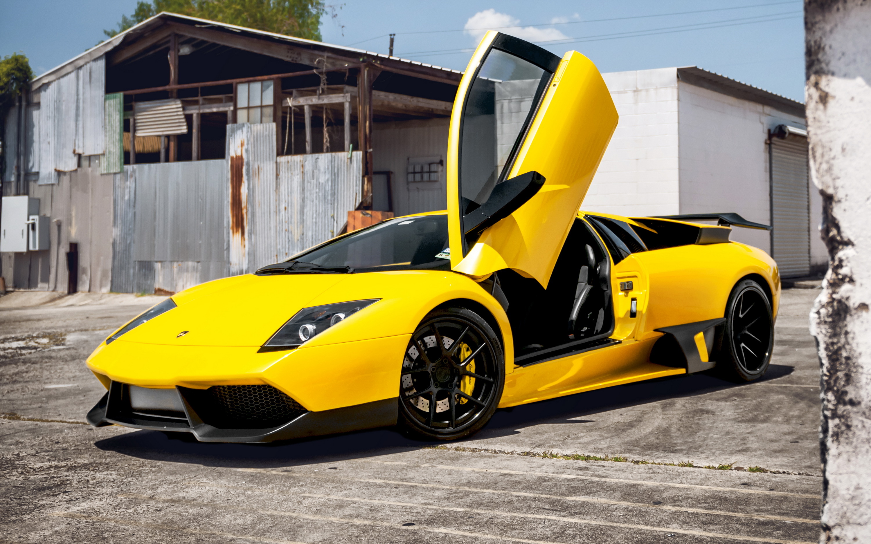 36+] Yellow Lamborghini Murcielago Wallpaper - WallpaperSafari