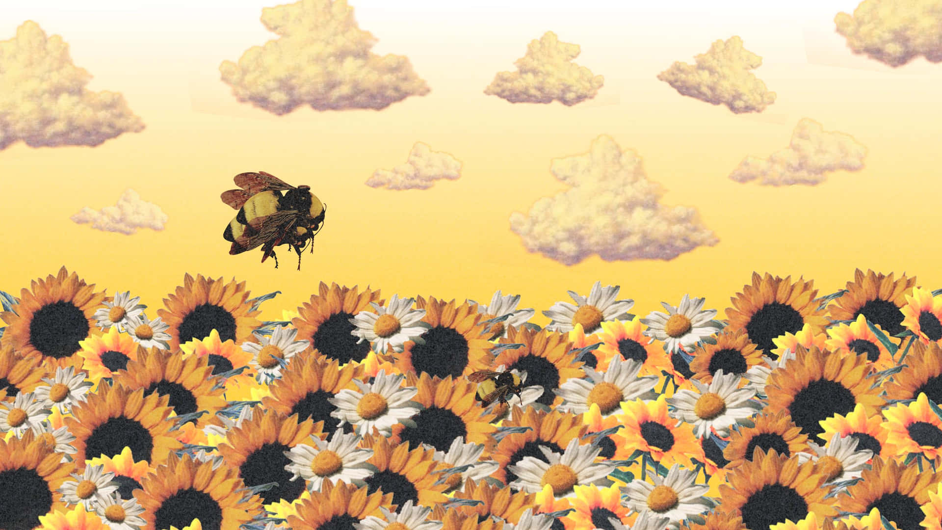 Tyler The Creator Desktop Wallpaper