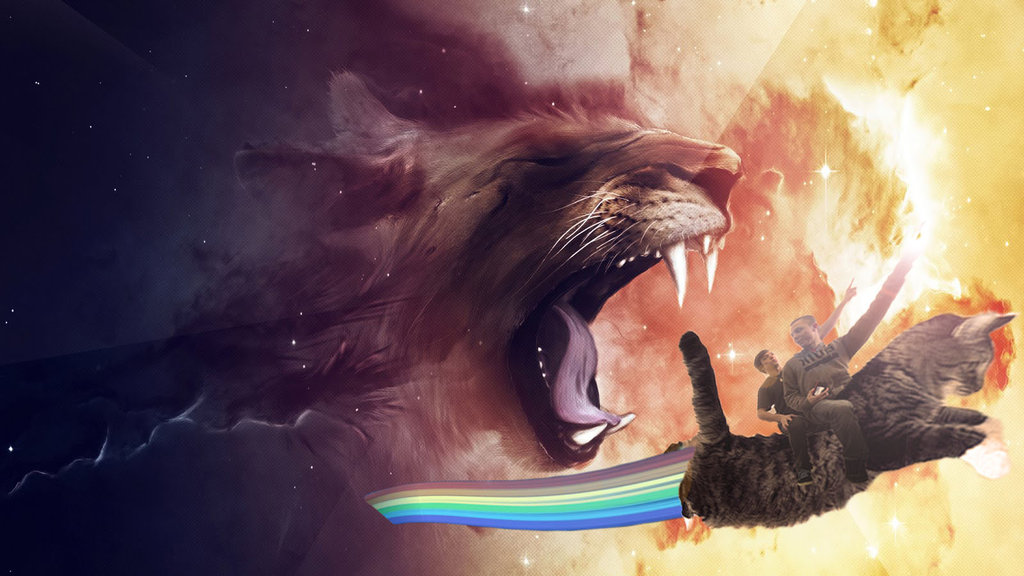 Epic Cat Wallpaper Most Pic Ever By
