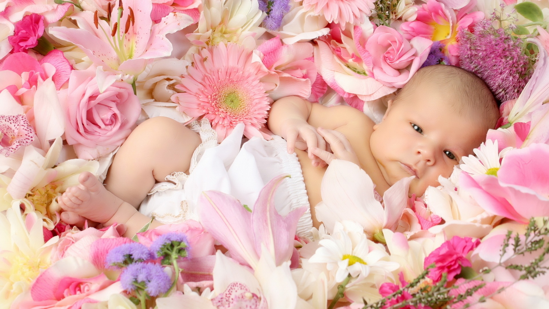 Cute Baby Lying Flowers Wallpaper HD Bwalles