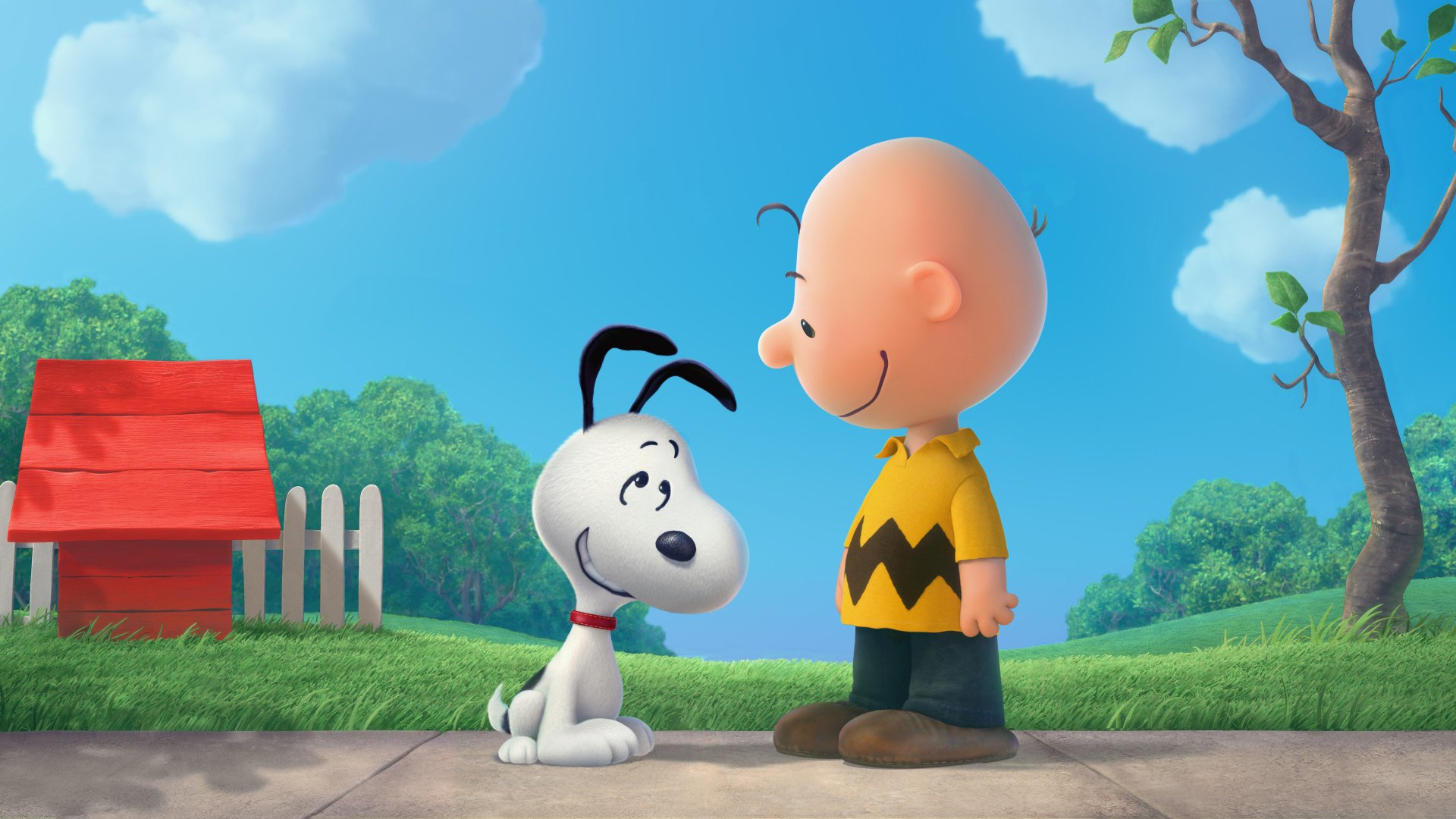 Charlie Brown Snoopy Wallpaper