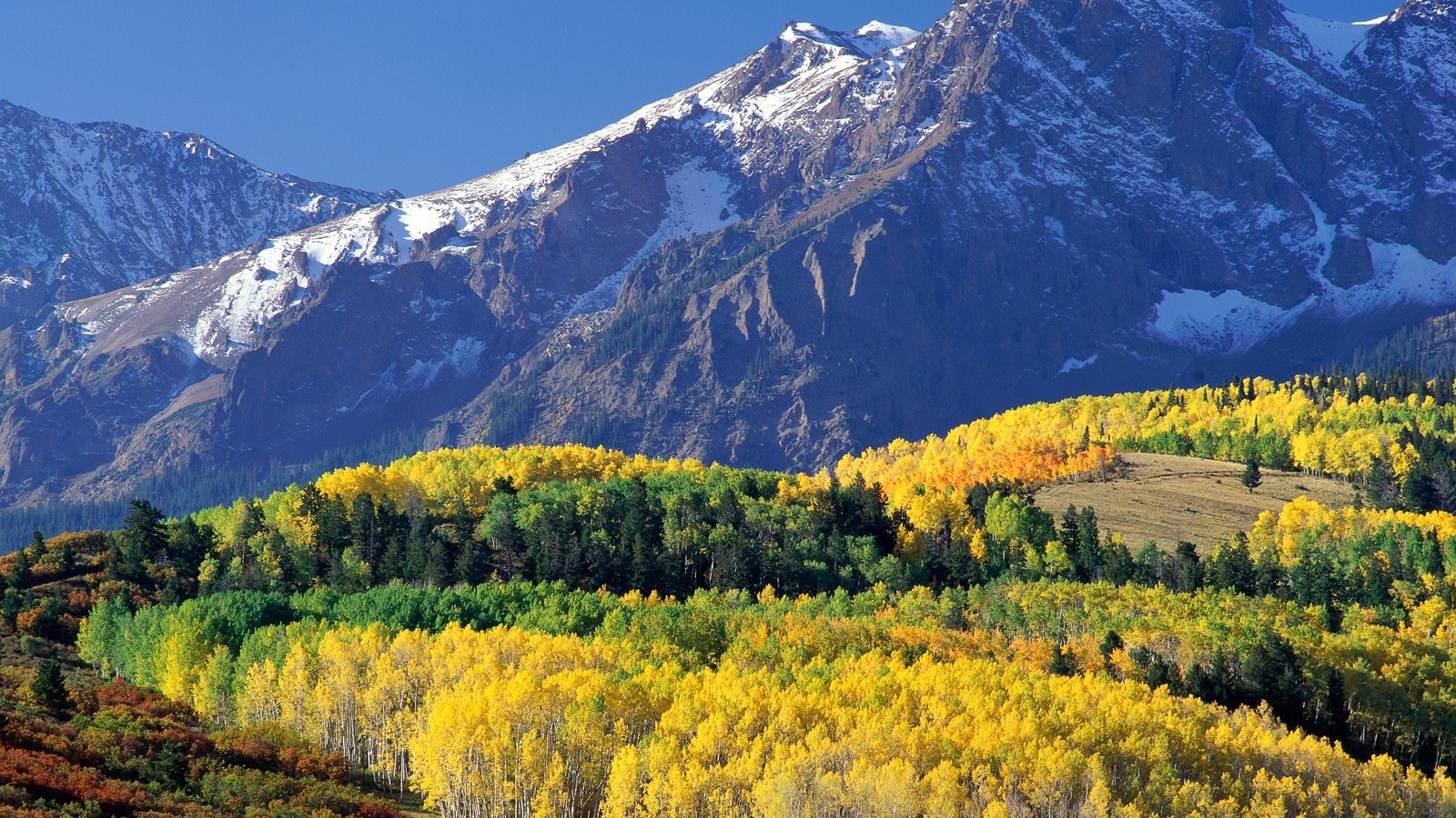 Colorado Wood Mountains Autumn Wallpaper Background
