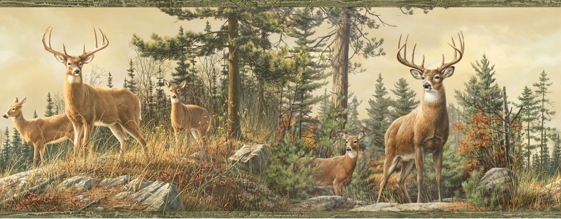 Whitetail Crest Deer Wallpaper Border