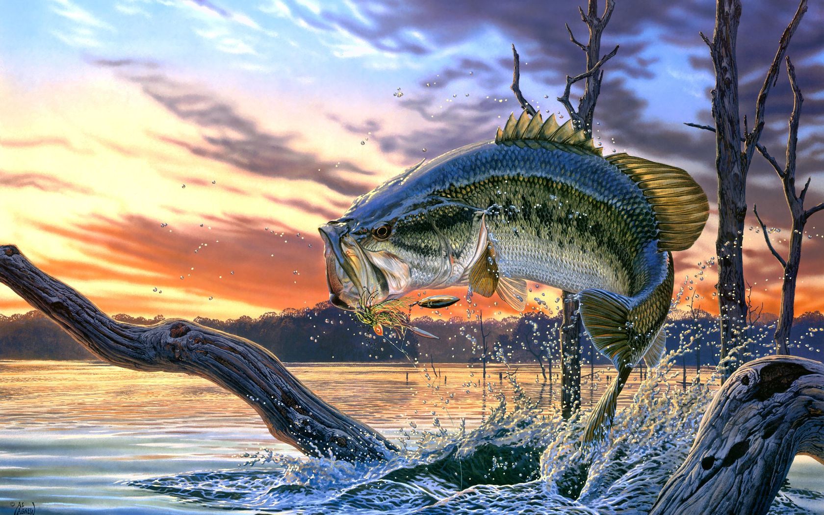 Org Largemouth Bass Fishing Wallpaper Background Screensaver