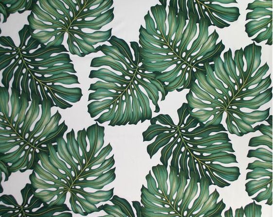 Banana Palm For Art Print Leaf Fabric Hawaiian Leaves