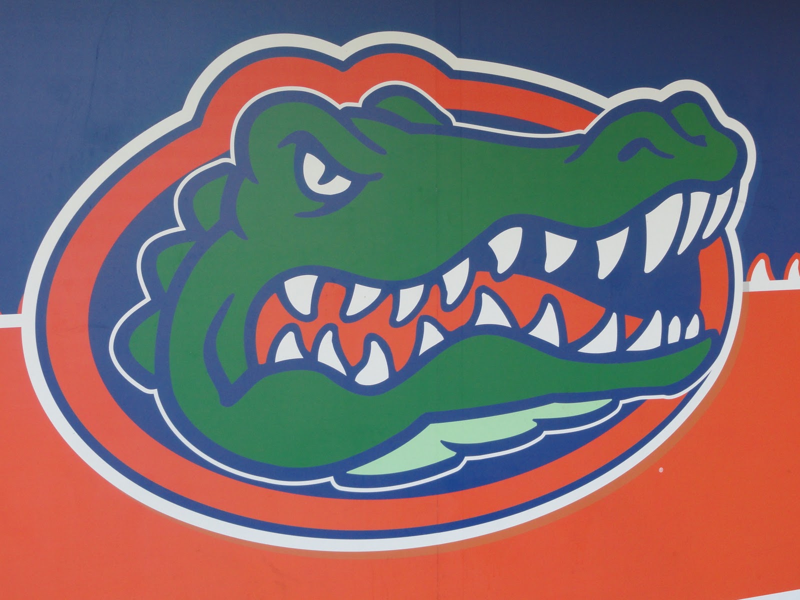 Find more Florida Gators Softball Wallpaper This week the gators played. 