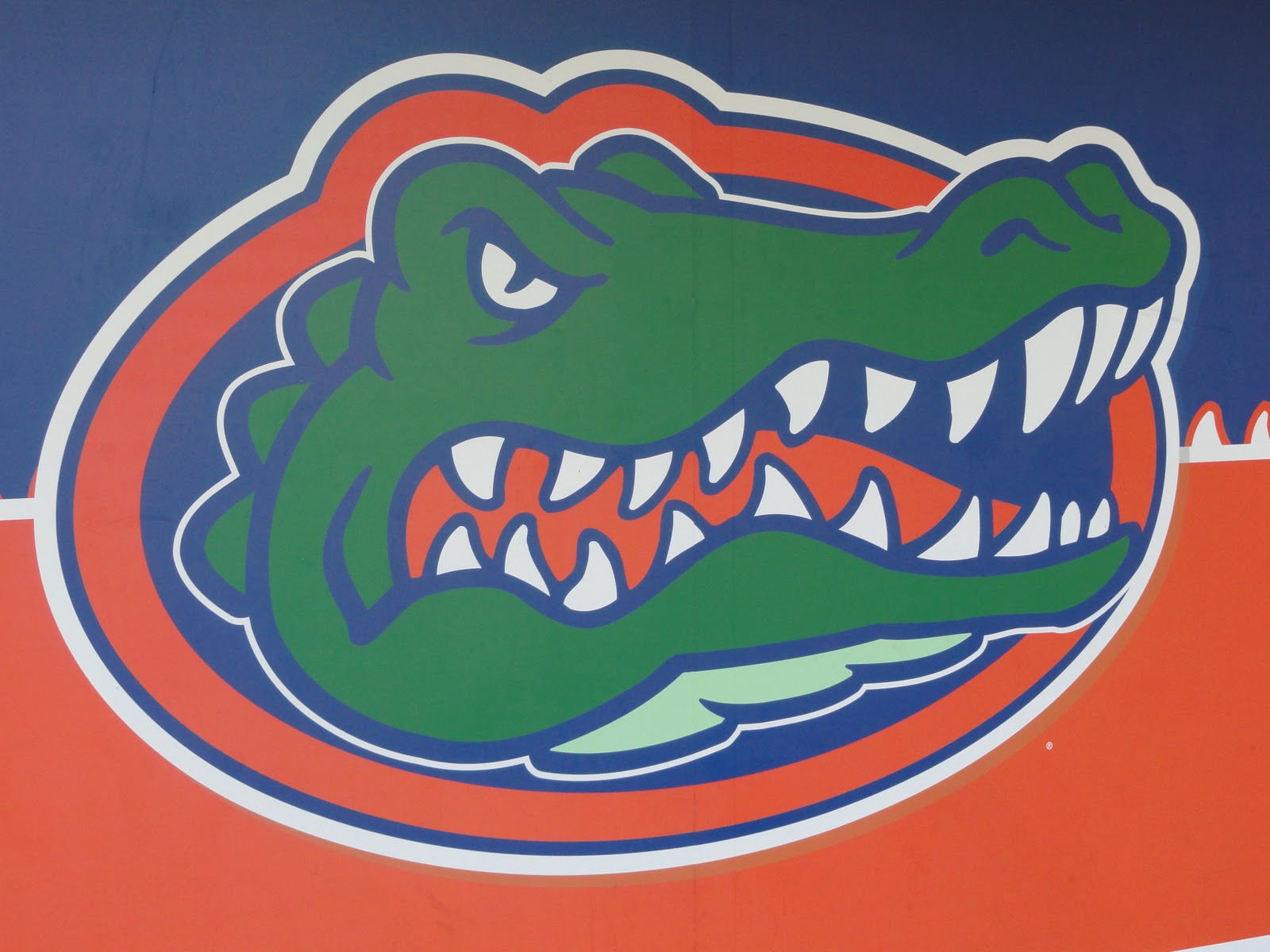 Florida Gators Softball Wallpaper This Week The Played