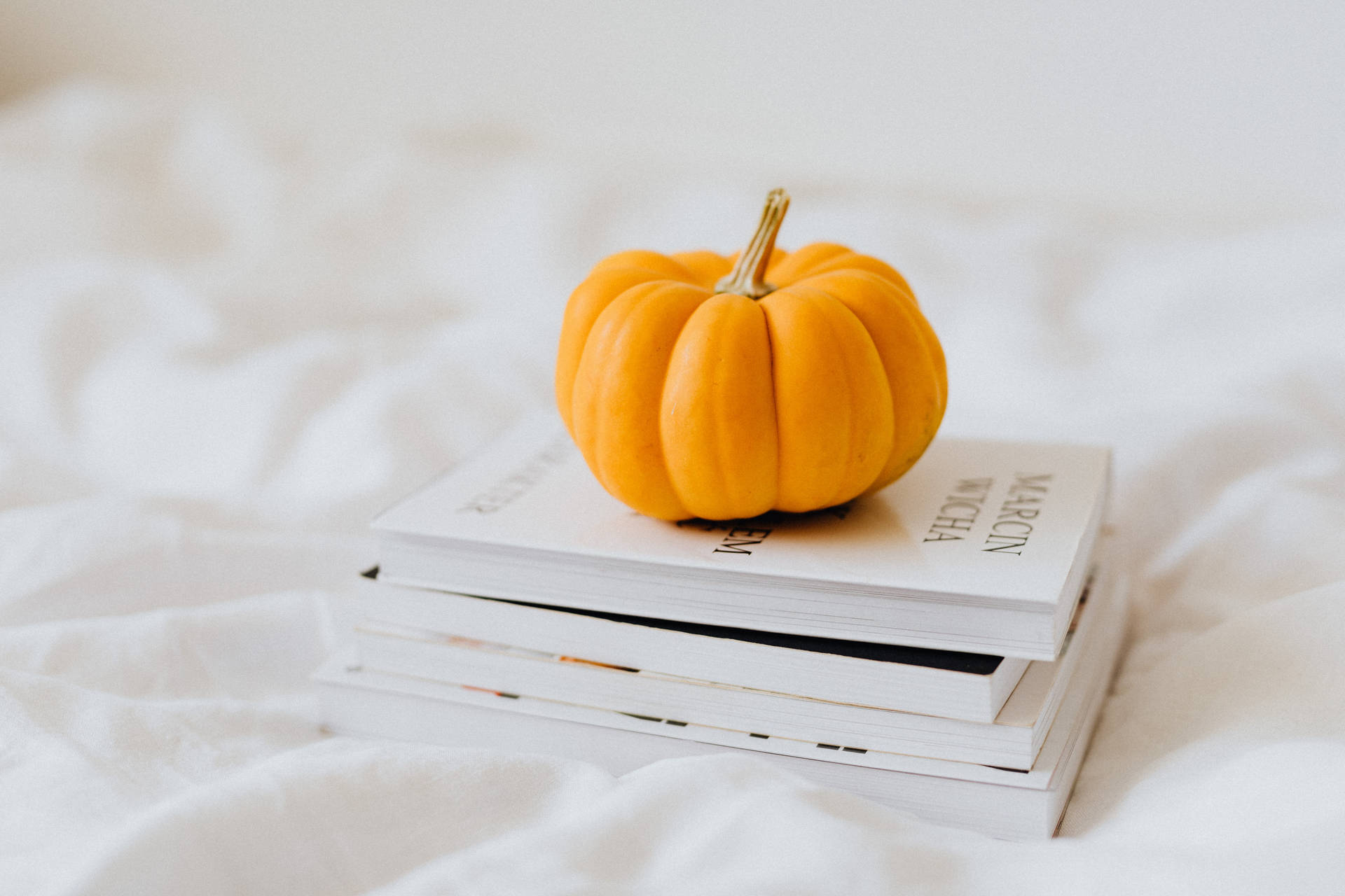 Book Aesthetic Wallpaper
