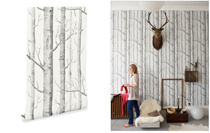 Woods Wallpaper Cole And Son