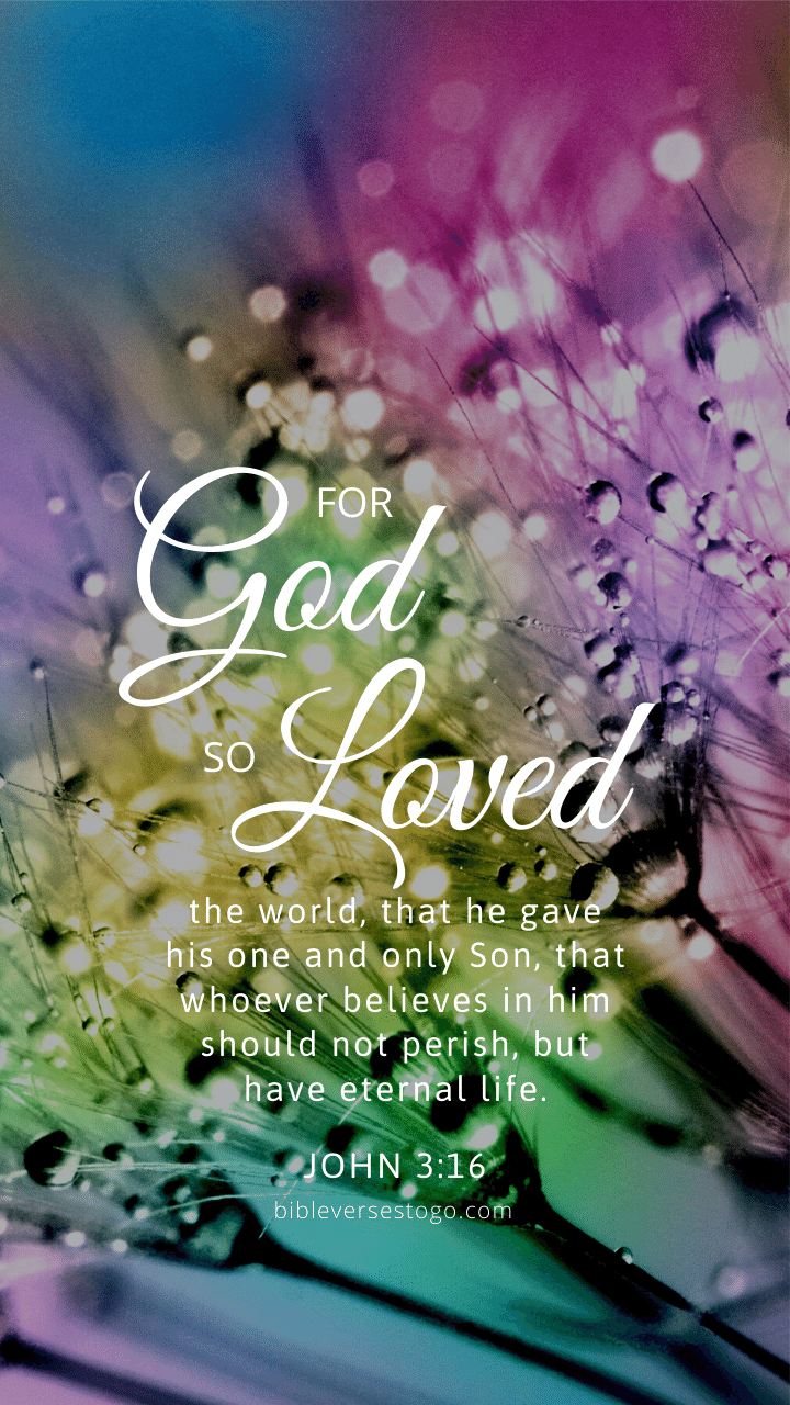 Free download Flora John 316 Bible Verses To Go [720x1280] for your  Desktop, Mobile & Tablet | Explore 28+ Eternal Lavenders Wallpapers |  Eternal Sunshine Of The Spotless Mind Wallpapers,