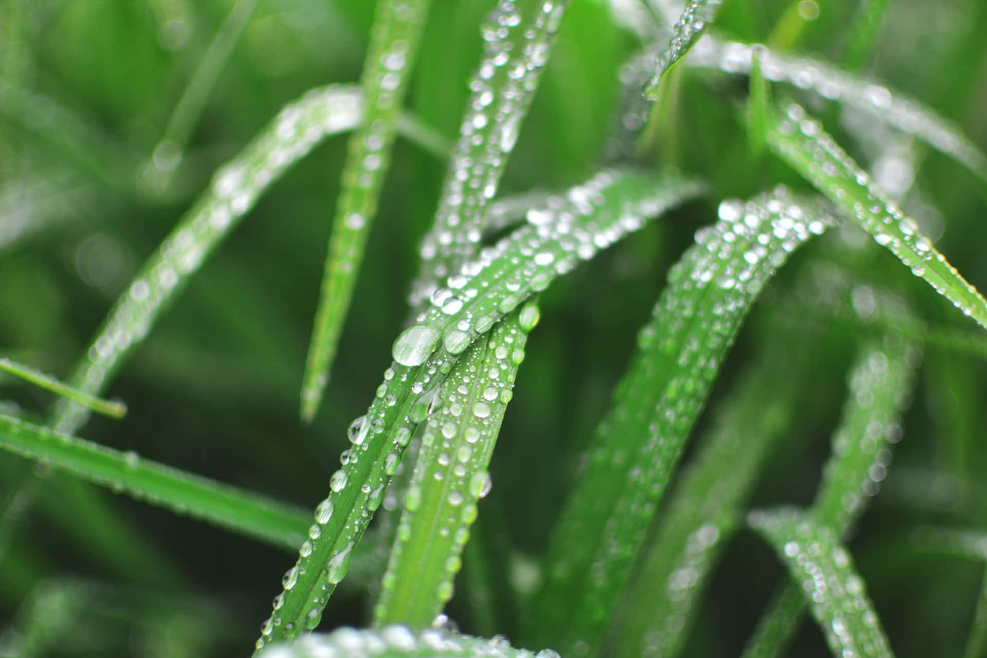 Peaceful Relaxing Wallpaper