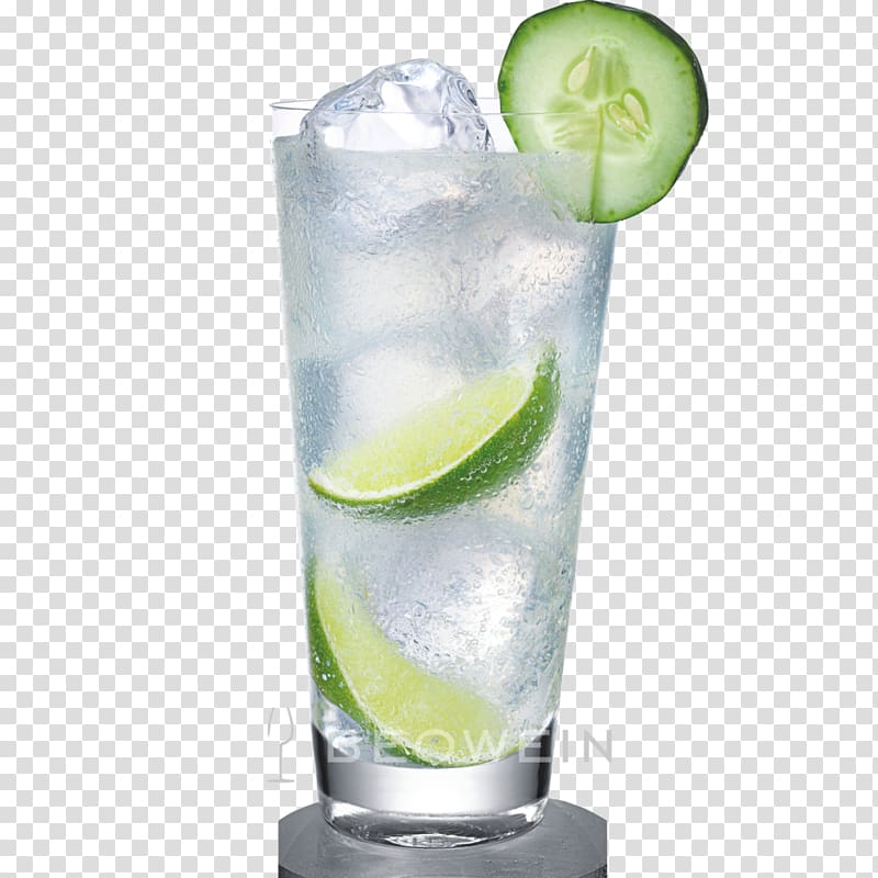 Cocktail Gin And Tonic Vodka Rickey Sea Breeze Glas