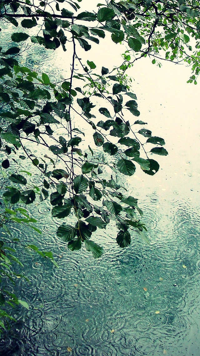 Rain Ripples Wallpaper iPhone