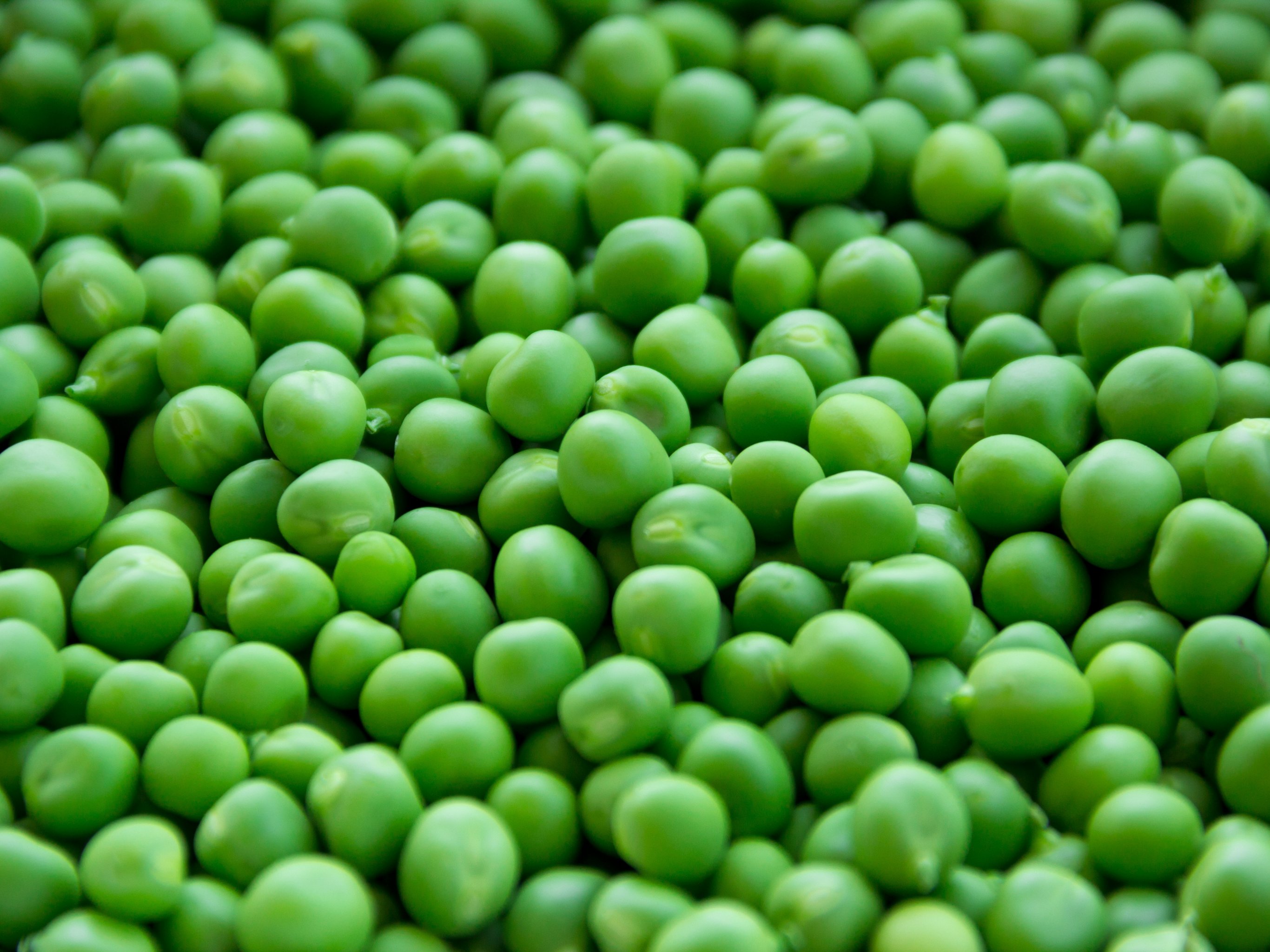 Fresh Peas Wallpaper iPhone Android Desktop Background
