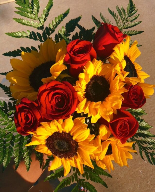 Collection Picture Roses And Sunflowers Wallpaper