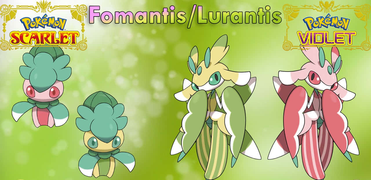 Pok Mon Fomantis And Lurantis Wallpaper