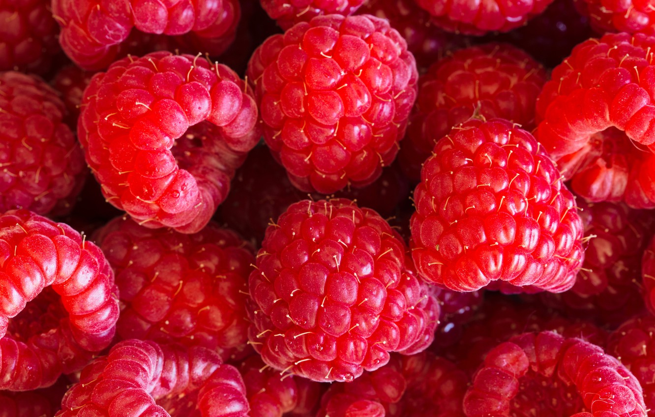 Wallpaper Berries Raspberry Background