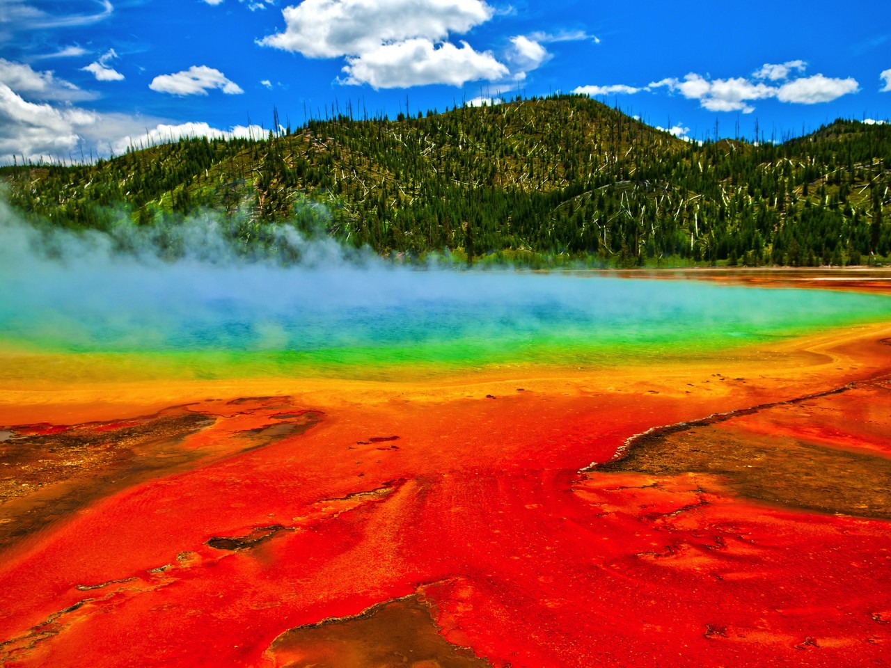 Spectacular HD Wallpaper Geysers Yellowstone National Park