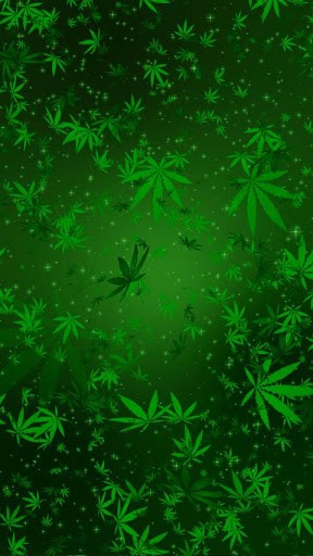 Marijuana Live Wallpaper Leaves Spin And Swirl Towards You