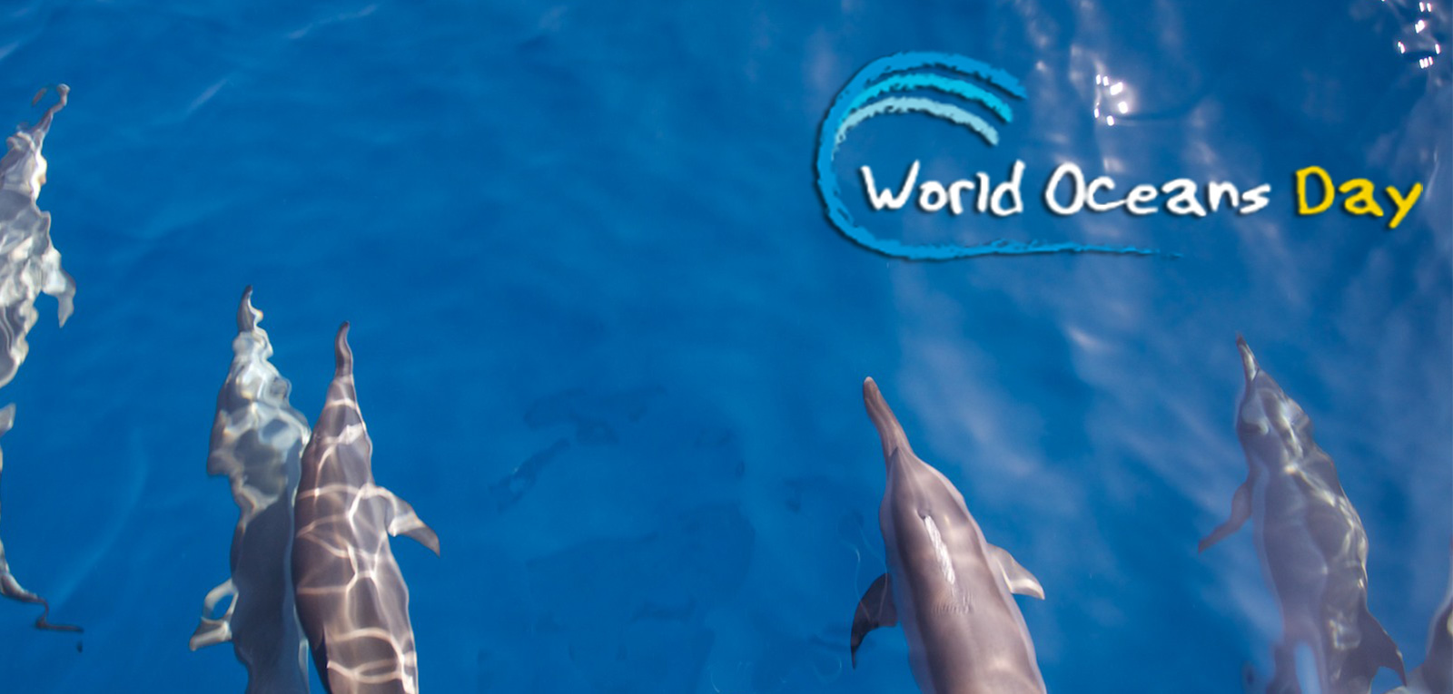 Best World Ocean Day Wish Pictures And Image