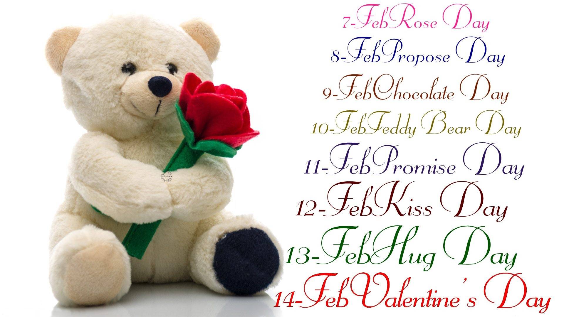 Valentines Day Ecards Amusingfun Pictures And Graphics For