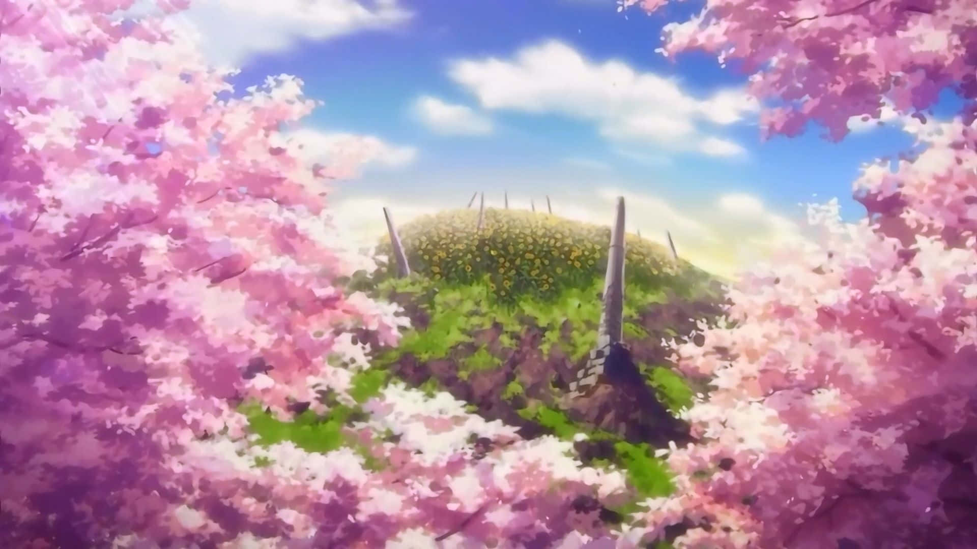 Cherry Blossoms Anime Scenery Wallpaper