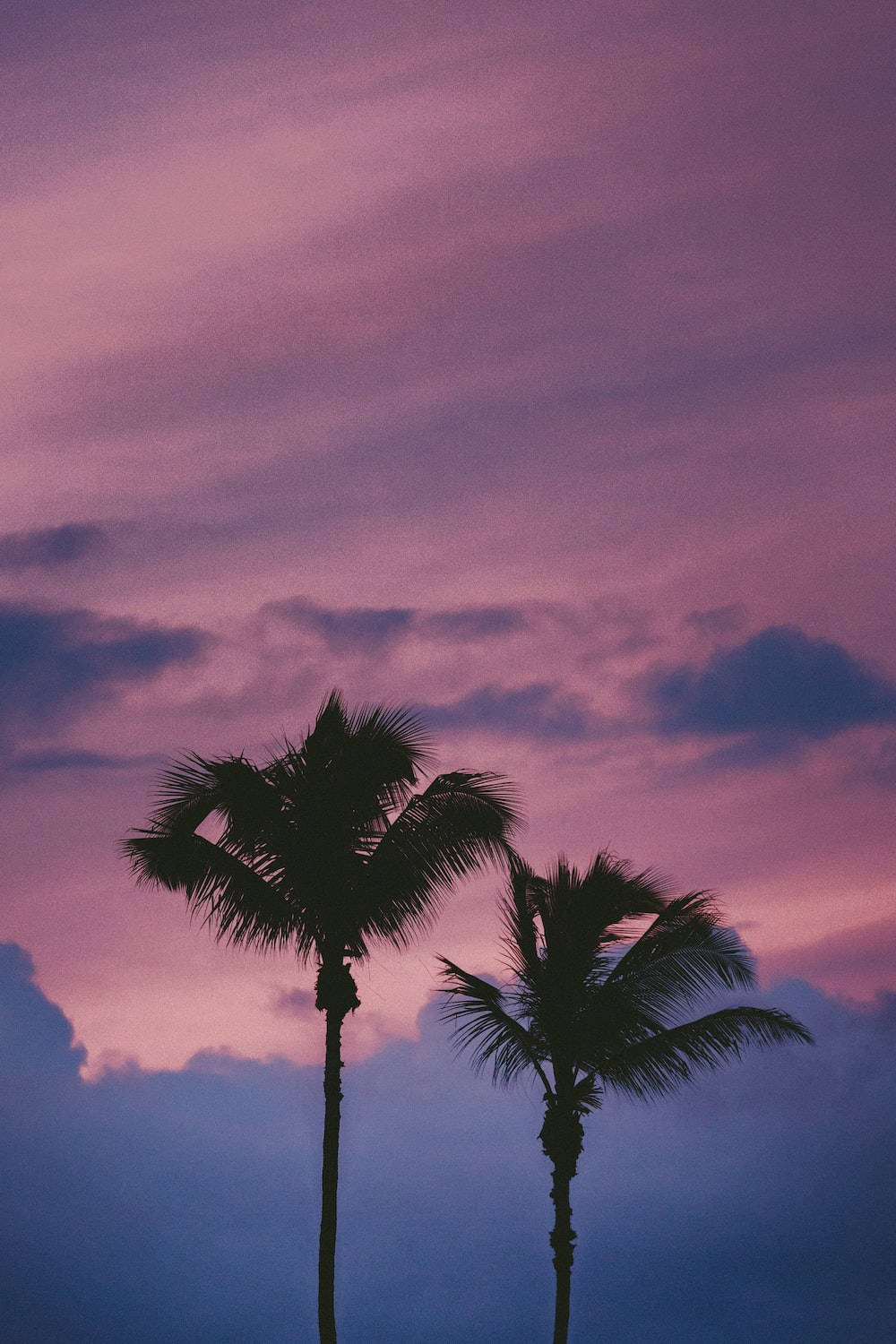 Light Purple Aesthetic Wallpaper