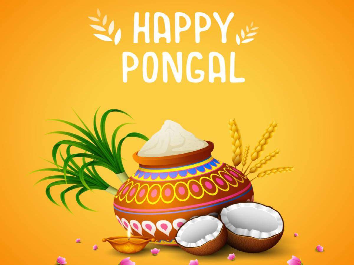 Happy Pongal Image Wishes Messages Quotes Cards