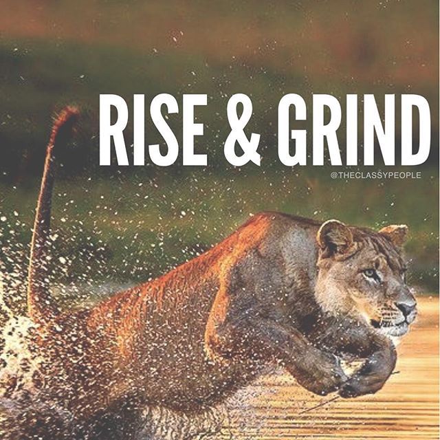 Rise Grind Pictures Photos And Image For