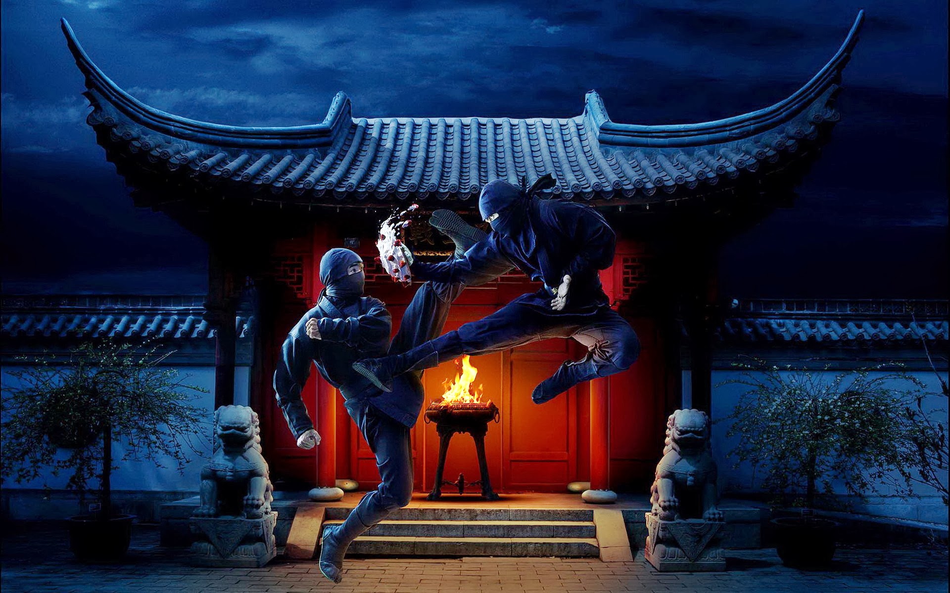 Ninja Fighting Cake Fight Wallpaper Widescreen A258