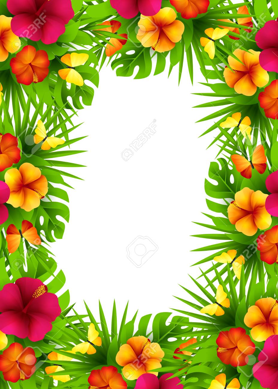 Tropical Hawaiian Background With Jungle Palm Tree Leaves Exotic