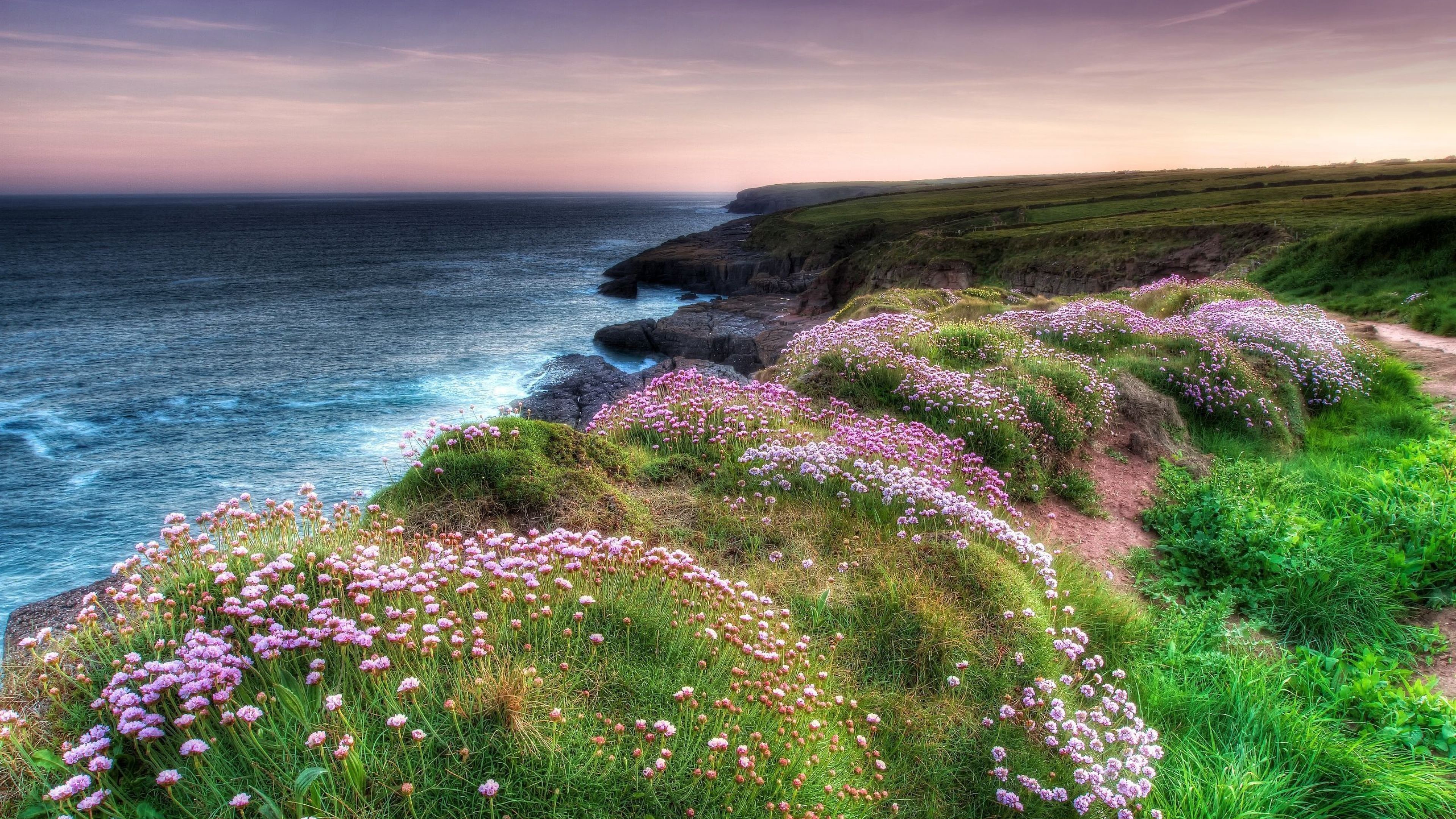 Irish Countryside Wallpaper