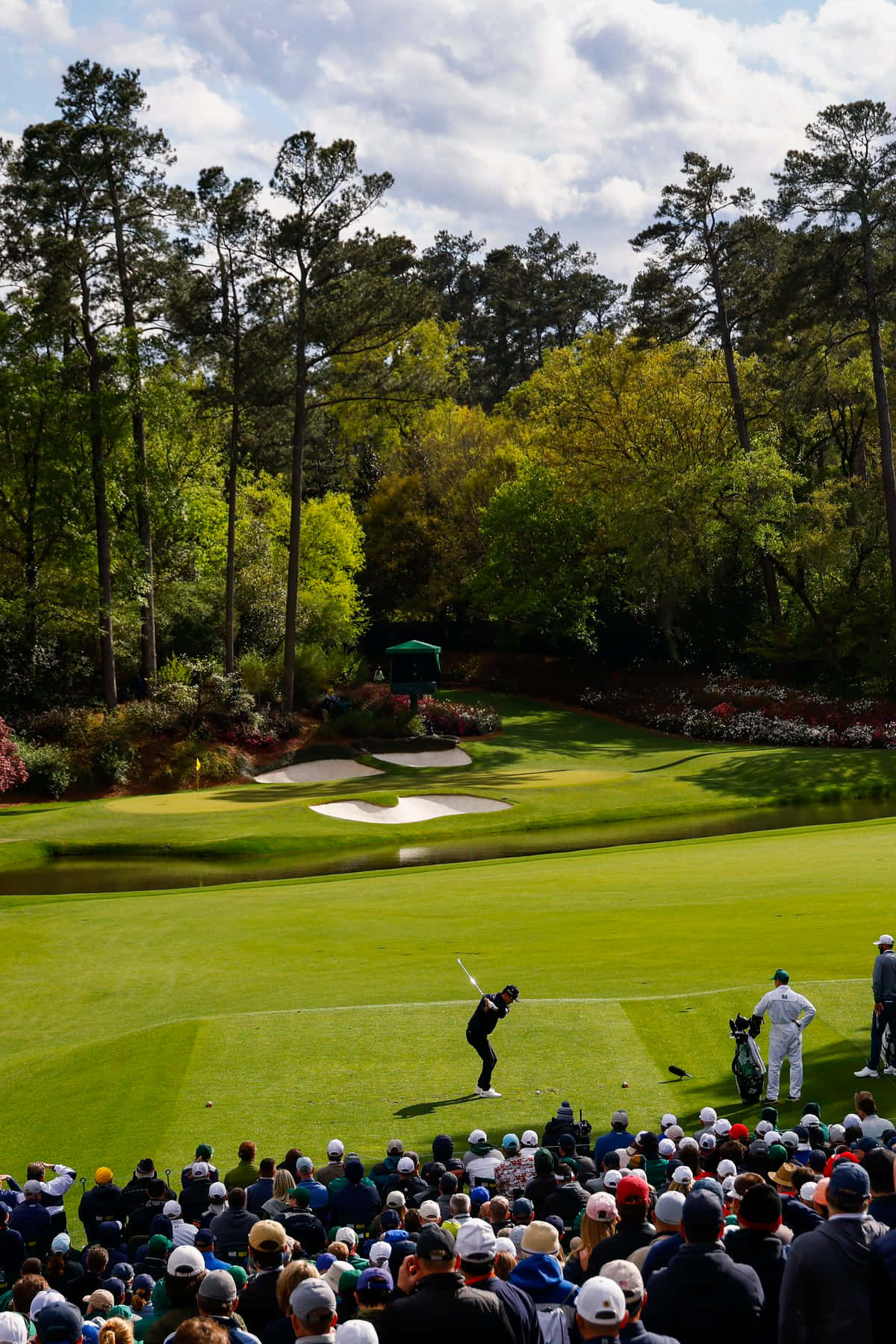 Augusta National iPhone Wallpaper